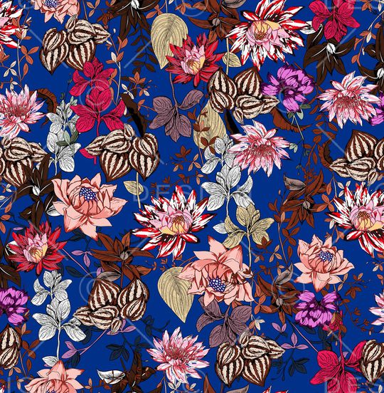 女装印花华亿平台图片