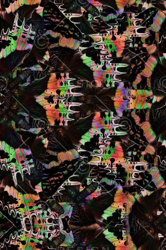 蝴蝶印花华亿平台图片