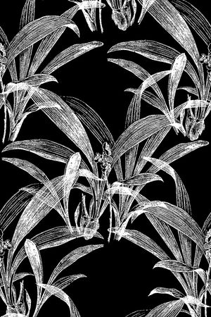 黑白华亿平台印花华亿平台图片