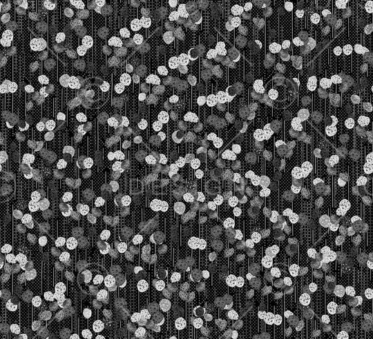 格子印花华亿平台图片