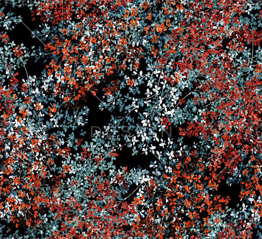 格子印花华亿平台图片