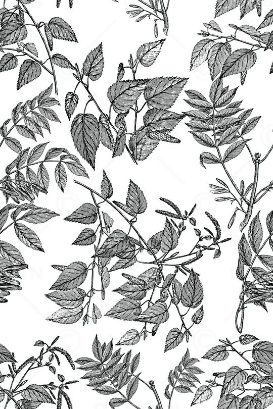 线条花卉印花华亿平台图片