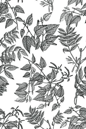 线条花卉印花华亿平台图片