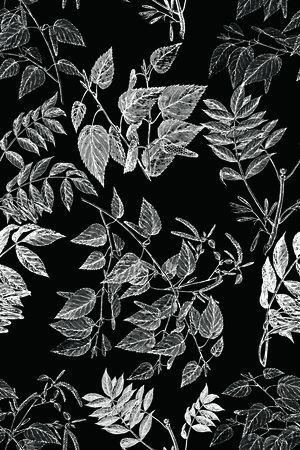 线条花卉印花华亿平台图片