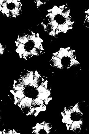 春夏华亿平台印花华亿平台图片