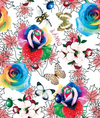 1112535-玫瑰蝴蝶2