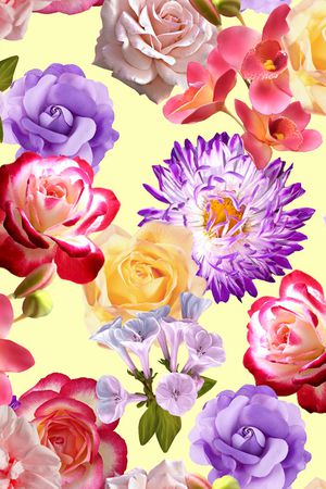 温室花卉印花华亿平台图片