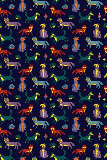 1112757-趣味动物 狐狸 刺猬