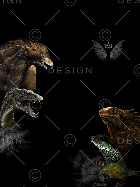 蜥蜴印花华亿平台图片