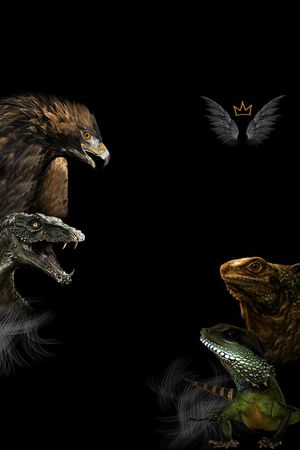 蜥蜴印花华亿平台图片