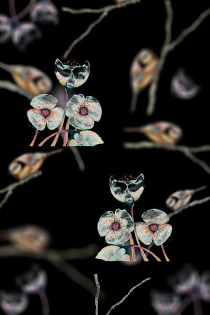 树林印花华亿平台图片