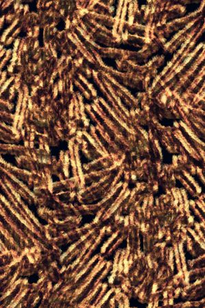 肌理印花华亿平台图片