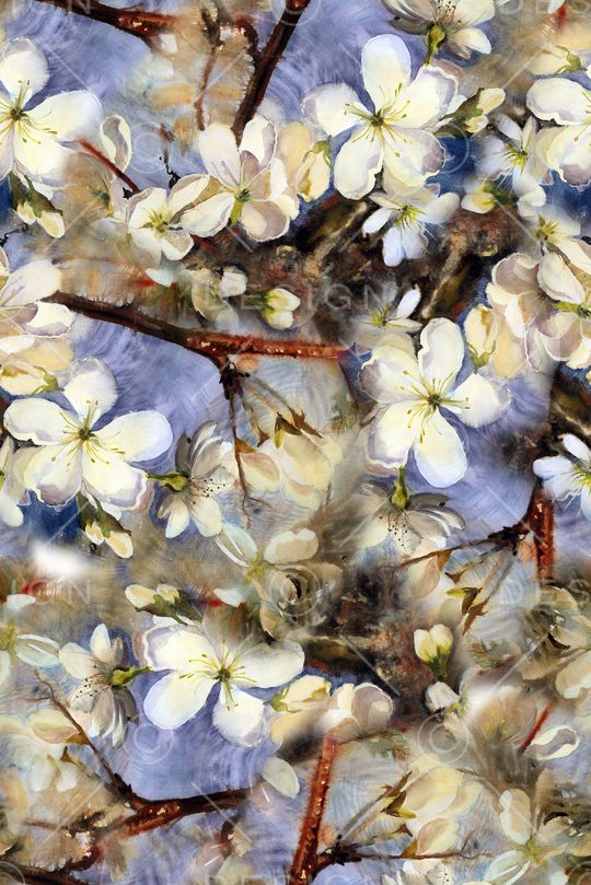 真丝印花华亿平台图片