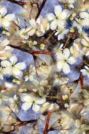 真丝印花华亿平台图片