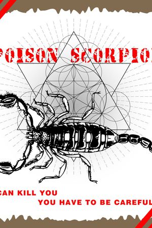 简约印花华亿平台图片