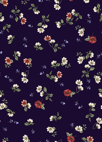 1113546-0波斯菊蓝