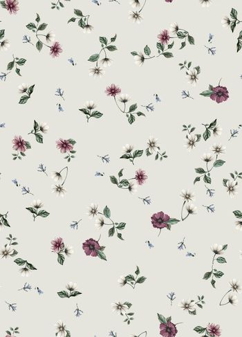 1113547-0波斯菊米色