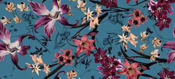 1113550-朱顶红回路淡蓝