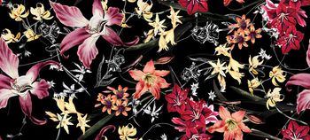 1113551-朱顶红回路黑