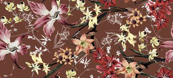 1113552-朱顶红回路焦糖