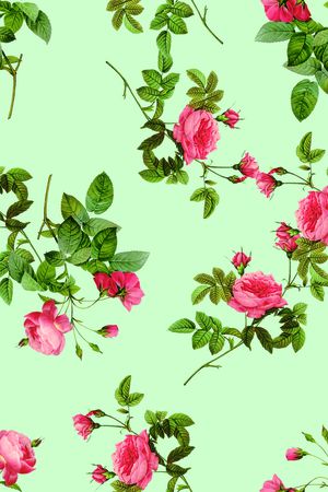 水彩花卉印花华亿平台图片