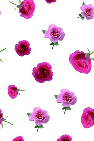 牡丹印花华亿平台图片