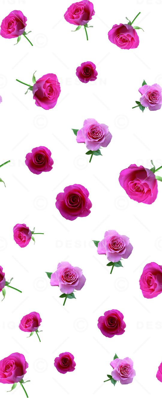 牡丹印花华亿平台图片