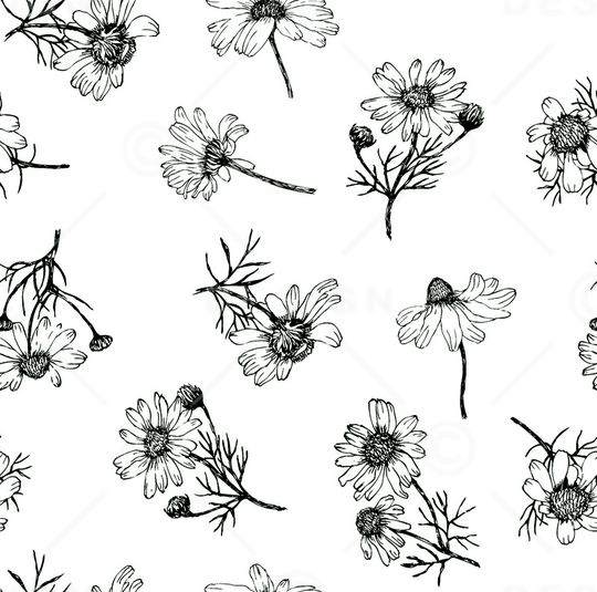 菊花印花华亿平台图片