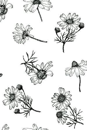 菊花印花华亿平台图片