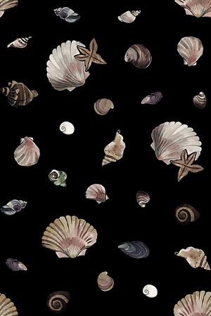 贝壳印花华亿平台图片