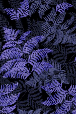 树印花华亿平台图片