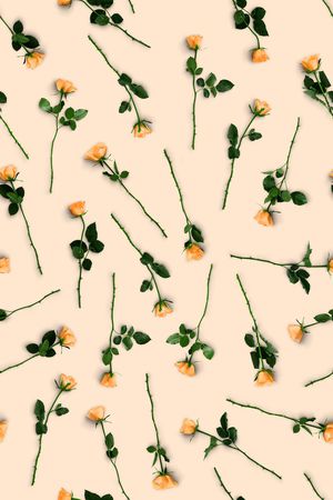 玫瑰花印花华亿平台图片