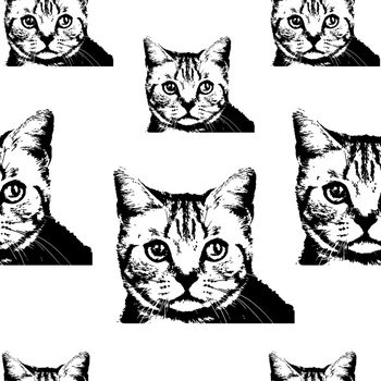 黑白华亿平台印花华亿平台图片