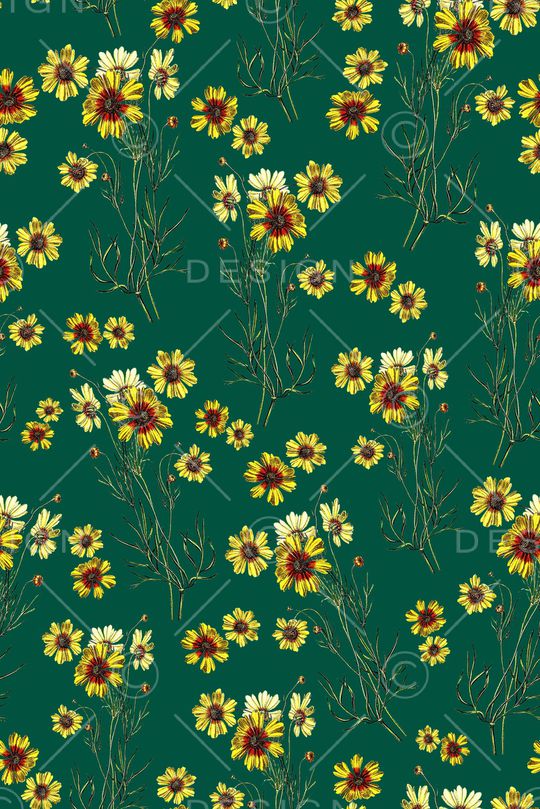 女装印花华亿平台图片