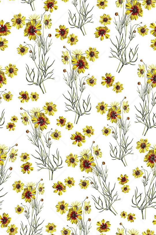 女装印花华亿平台图片