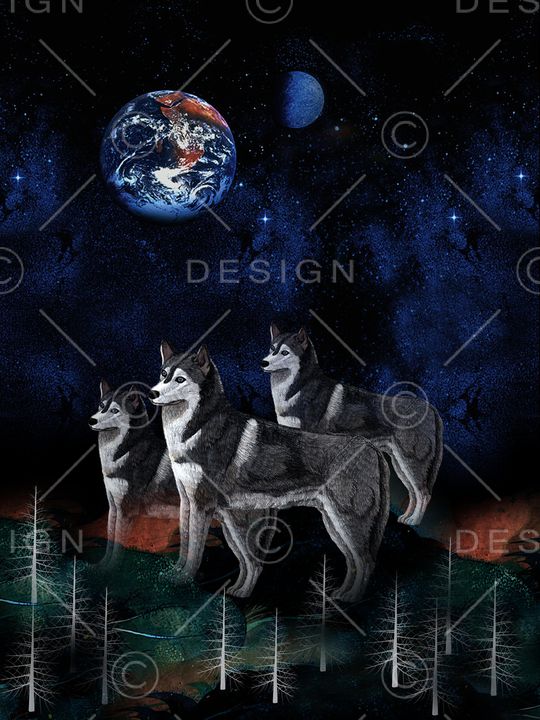 星空印花华亿平台图片