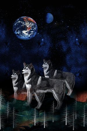 星空印花华亿平台图片