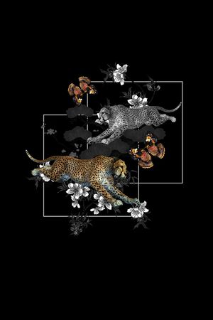 蝴蝶印花华亿平台图片