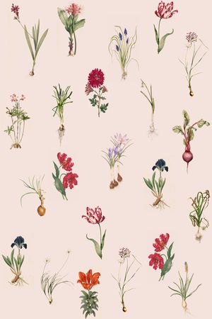 女装印花华亿平台图片