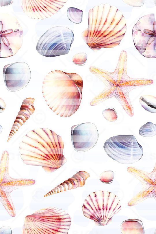 贝壳印花华亿平台图片