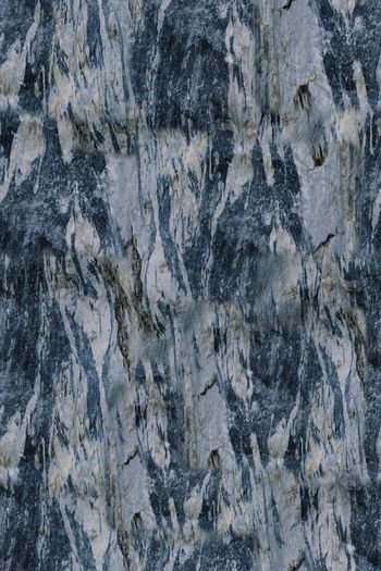 1116342-抽象纹理