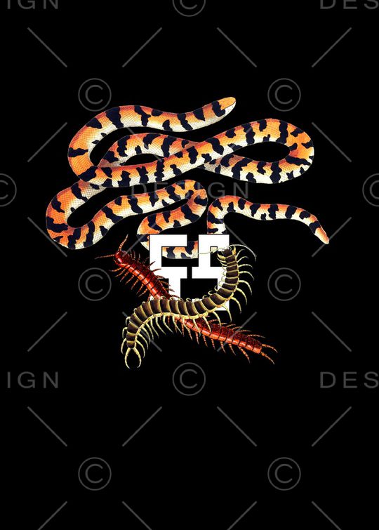 创意印花华亿平台图片