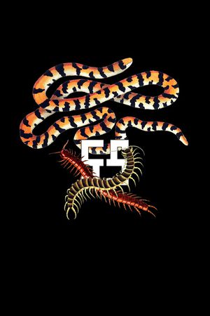 创意印花华亿平台图片