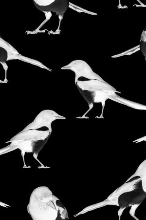 鸟印花华亿平台图片