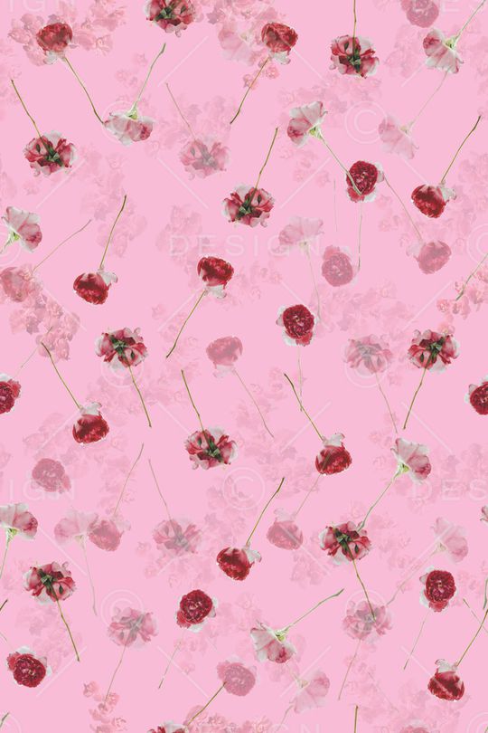 手绘玫瑰印花华亿平台图片