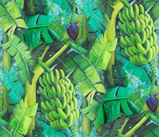 香蕉印花华亿平台图片