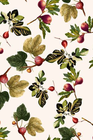 香蕉印花华亿平台图片