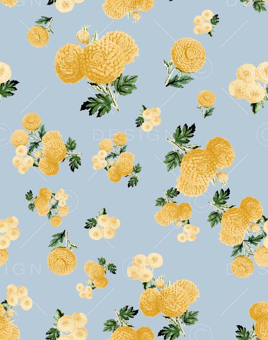 蒲公英印花华亿平台图片