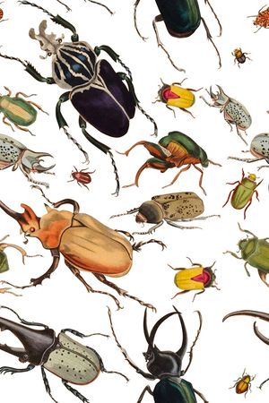 休闲昆虫印花华亿平台图片