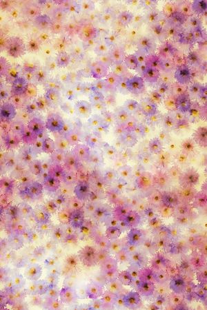 女装印花华亿平台图片